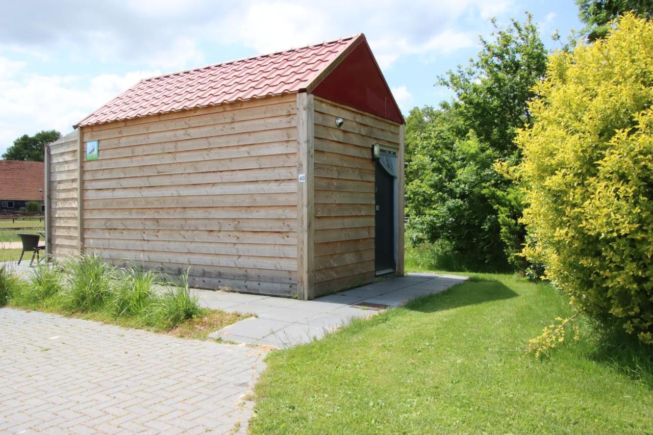 Tiny Cottage Op Camping "De Stal" Drijber المظهر الخارجي الصورة